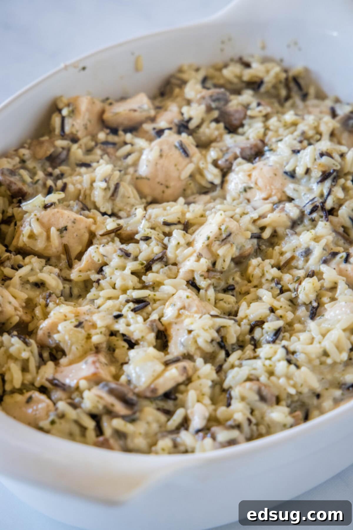 This chicken wild rice casserole is a hearty dinner loaded with juicy chicken, mushrooms, and nutty wild rice wrapped in creamy white sauce. Unbaked chicken wild rice casserole in an oval baking dish.