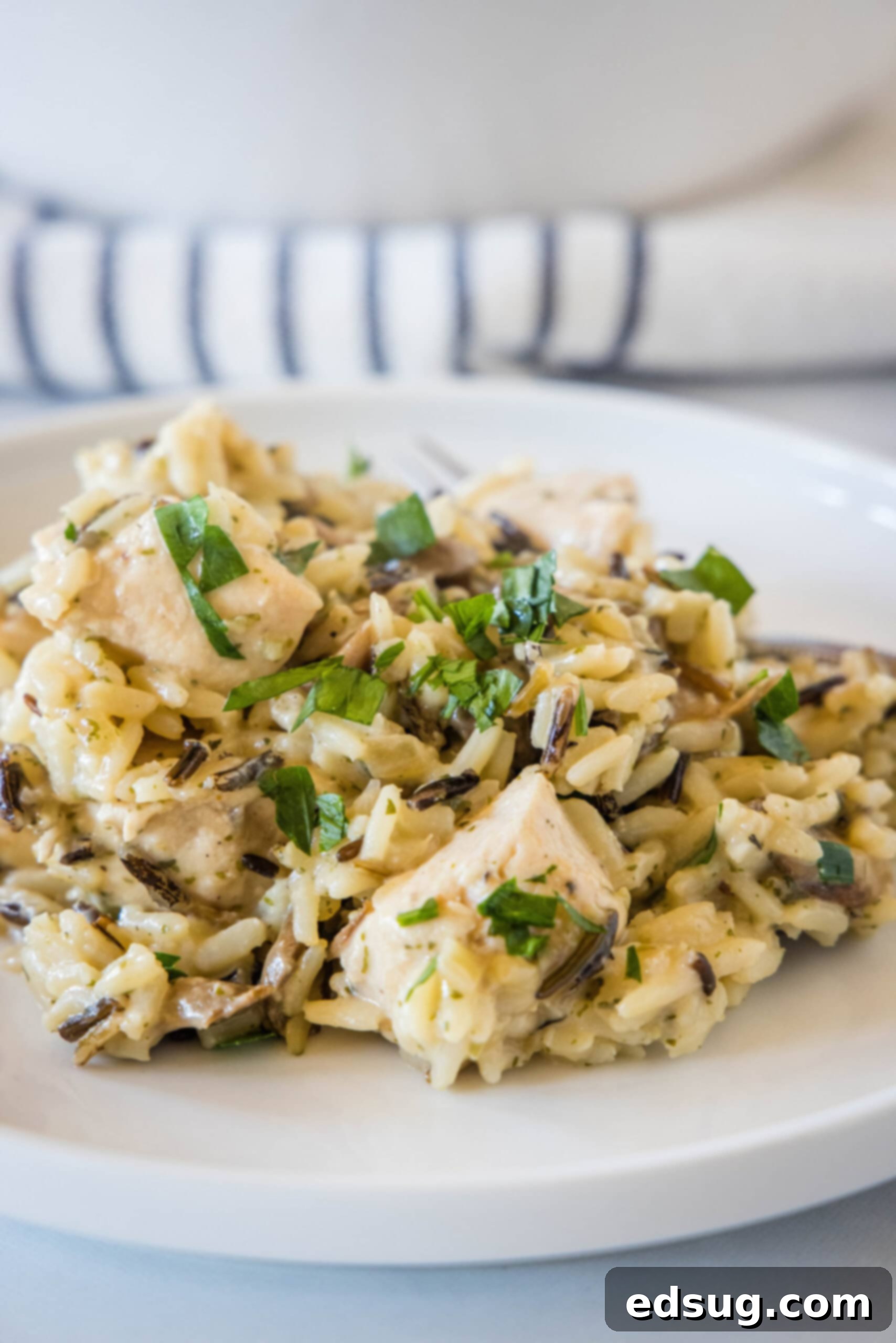 This chicken wild rice casserole is a hearty dinner loaded with juicy chicken, mushrooms, and nutty wild rice wrapped in creamy white sauce. A serving of chicken wild rice casserole on a white plate.