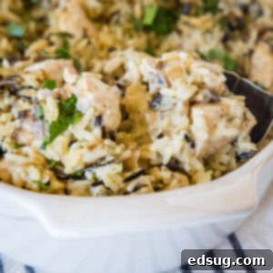Hearty Chicken Wild Rice Casserole 2 Close up of a spoon resting in chicken wild rice casserole.
