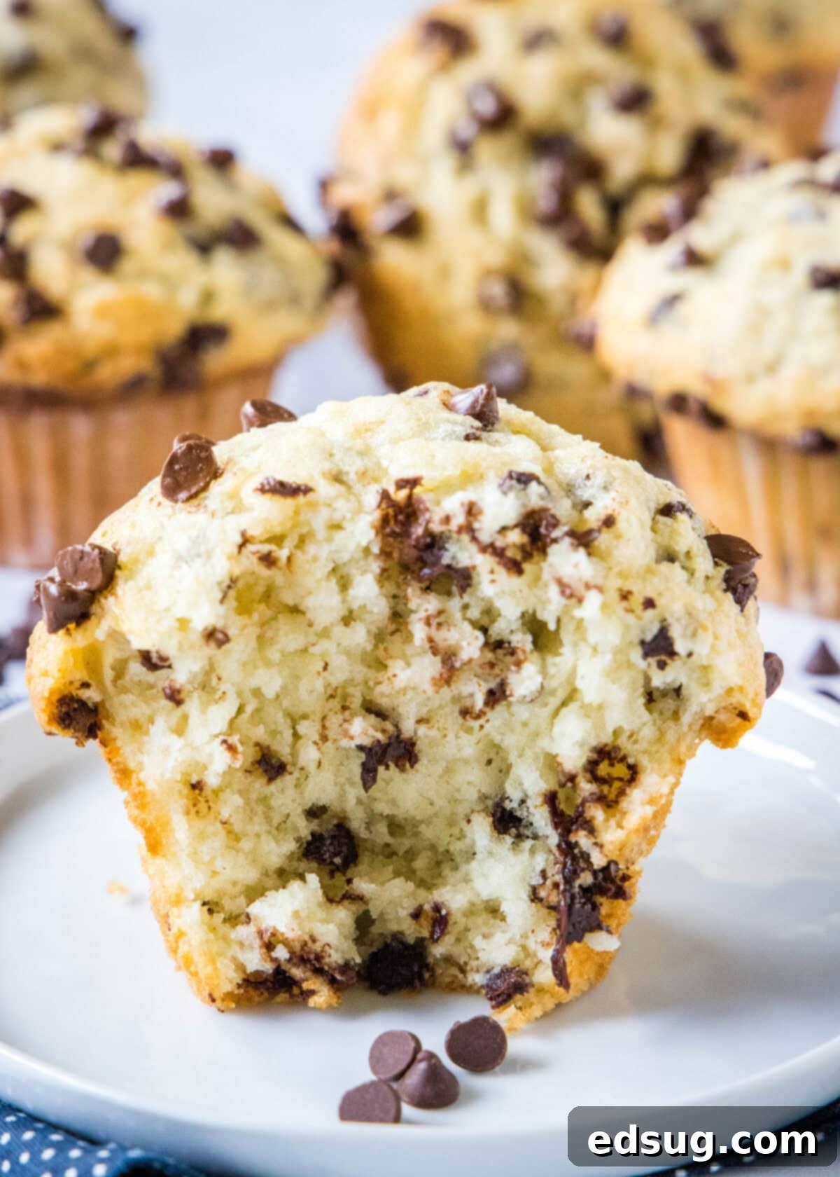 Signature Bakery Chocolate Chip Muffins 2 bakery style chocolate chip muffins cut in half on a white plate, showcasing their fluffy interior and melty chocolate