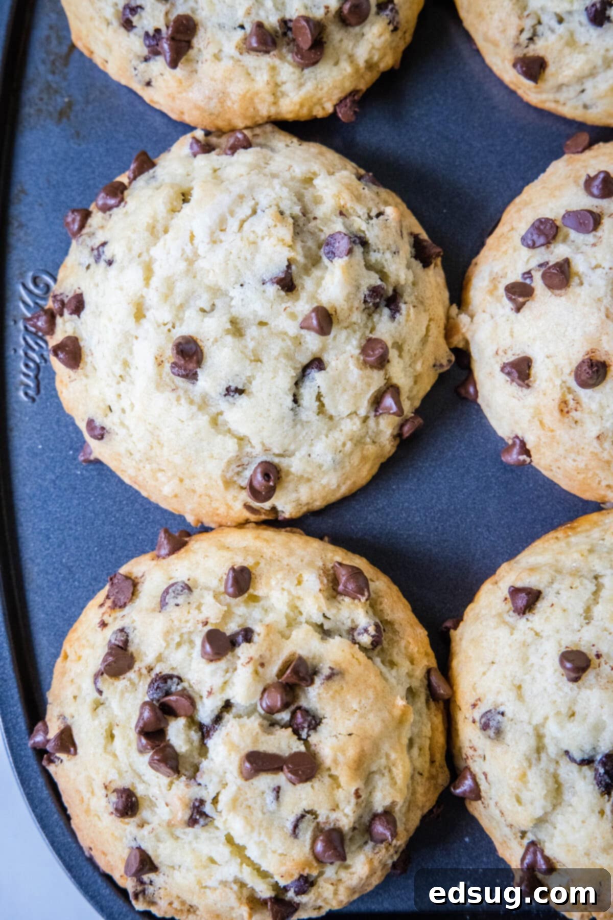 Signature Bakery Chocolate Chip Muffins 6 overhead shot of bakery chocolate chip muffins cooling in the baking pan