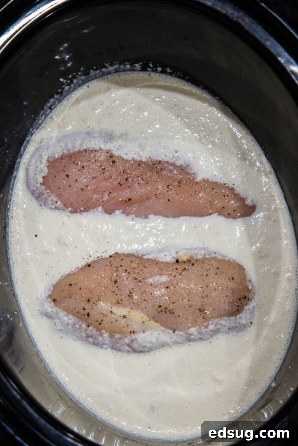 Two large uncooked chicken breasts nestled into alfredo sauce ingredients inside the crock pot.