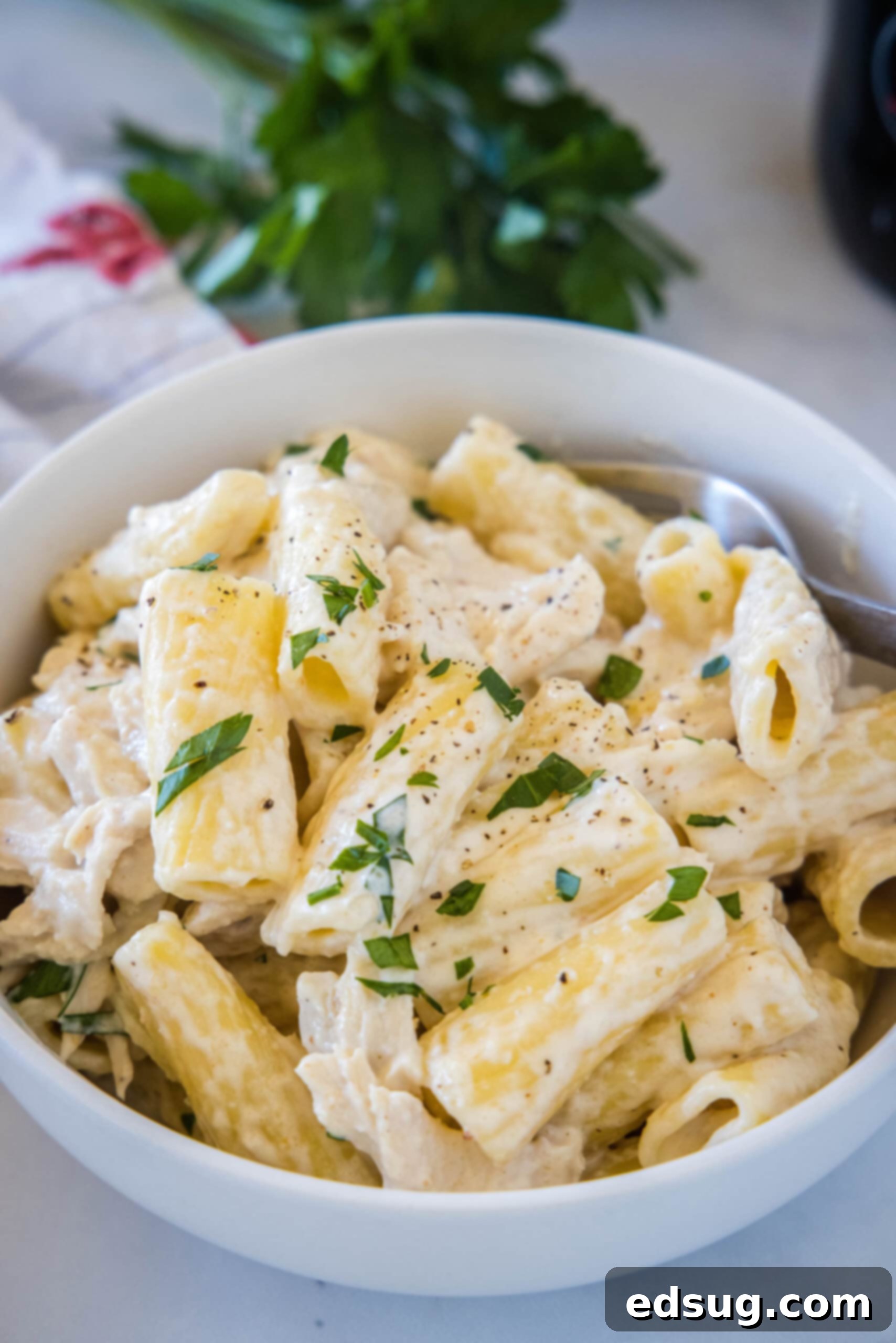 Crock pot chicken alfredo served in a white bowl with a fork.