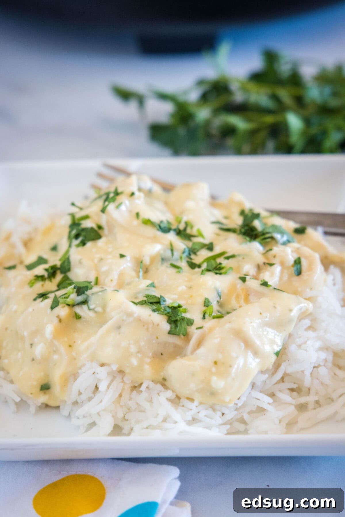 creamy ranch chicken over rice on a white plate