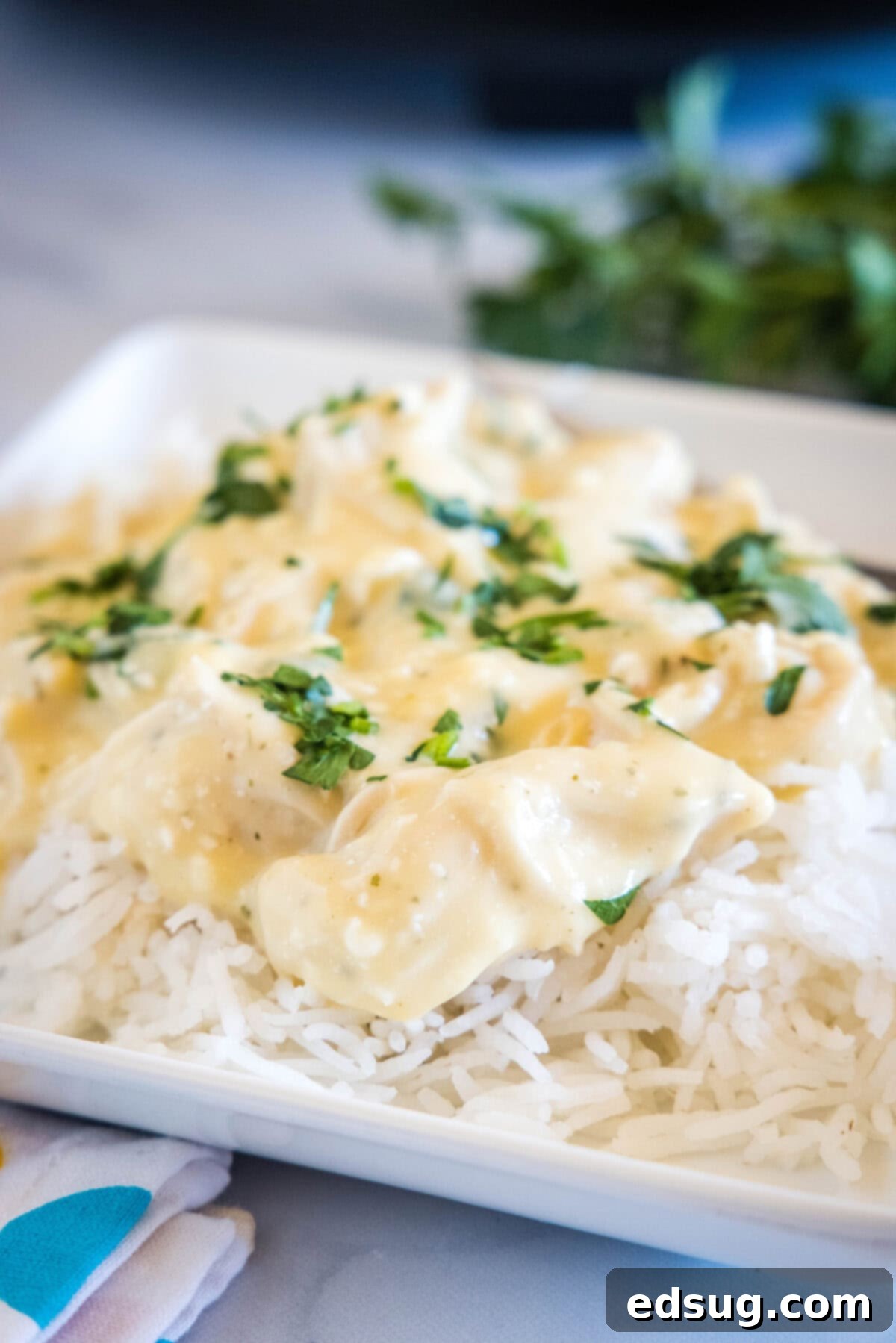 crockpot ranch chicken over rice on a plate