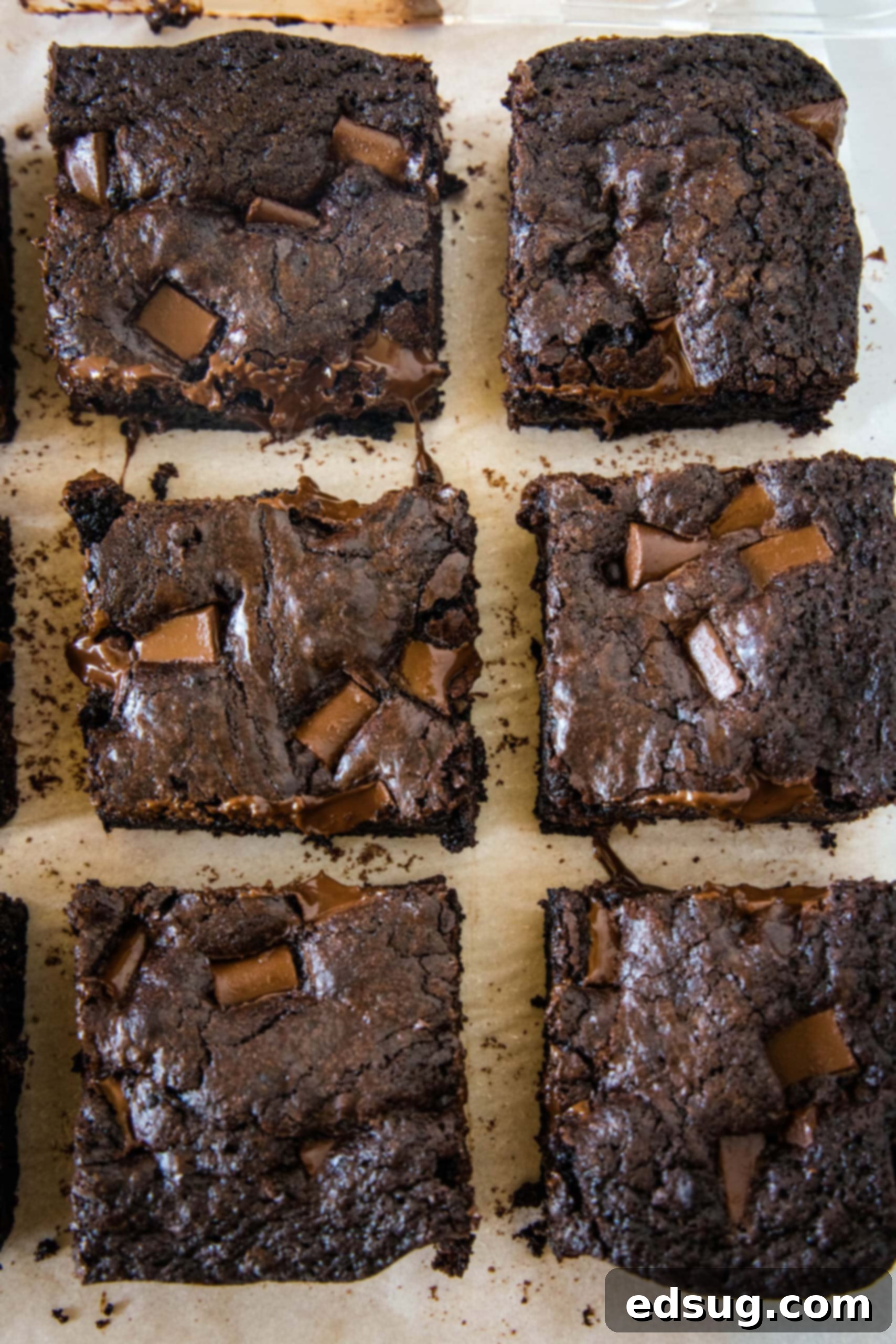 Make thick and chewy, fudgy double chocolate brownies with cocoa powder and chocolate chunks, for loads of melty chocolate in every bite! An overhead view of a batch of freshly baked double chocolate brownies, perfectly cut into uniform squares on a cooling rack, ready for serving. The crackly tops and rich chocolate color are prominent.