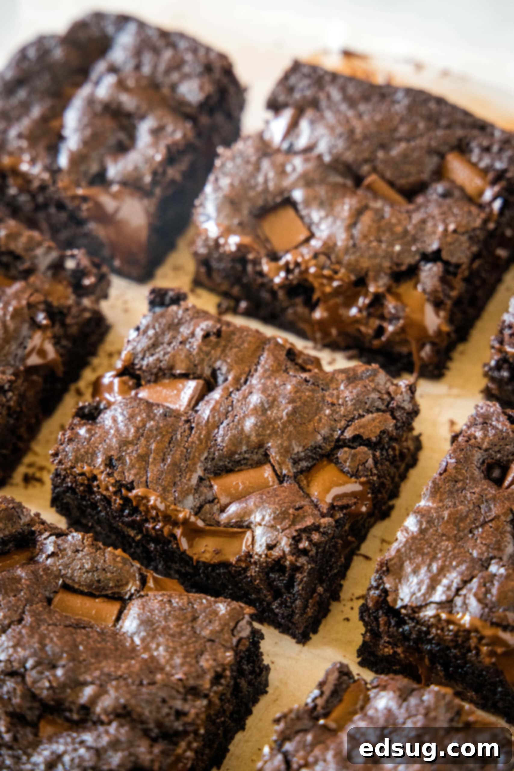 Make thick and chewy, fudgy double chocolate brownies with cocoa powder and chocolate chunks, for loads of melty chocolate in every bite! An overhead shot showcasing beautifully cut squares of double chocolate brownies, highlighting their rich color and inviting texture, arranged neatly for serving or sharing.