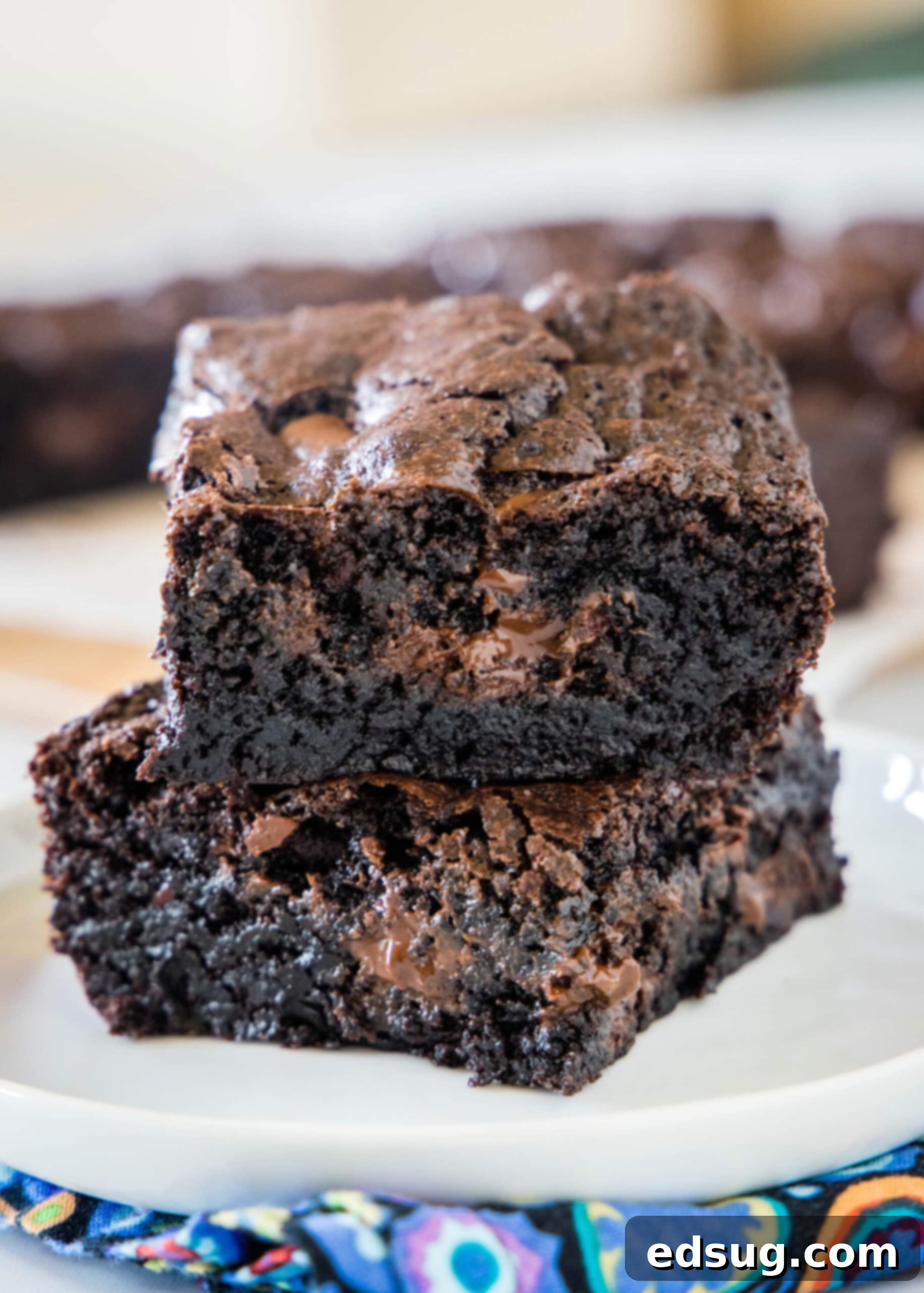 Make thick and chewy, fudgy double chocolate brownies with cocoa powder and chocolate chunks, for loads of melty chocolate in every bite! Two perfectly baked, rich double chocolate brownies stacked on a white plate, showcasing their inviting fudgy texture and ready to be enjoyed as a delightful dessert.