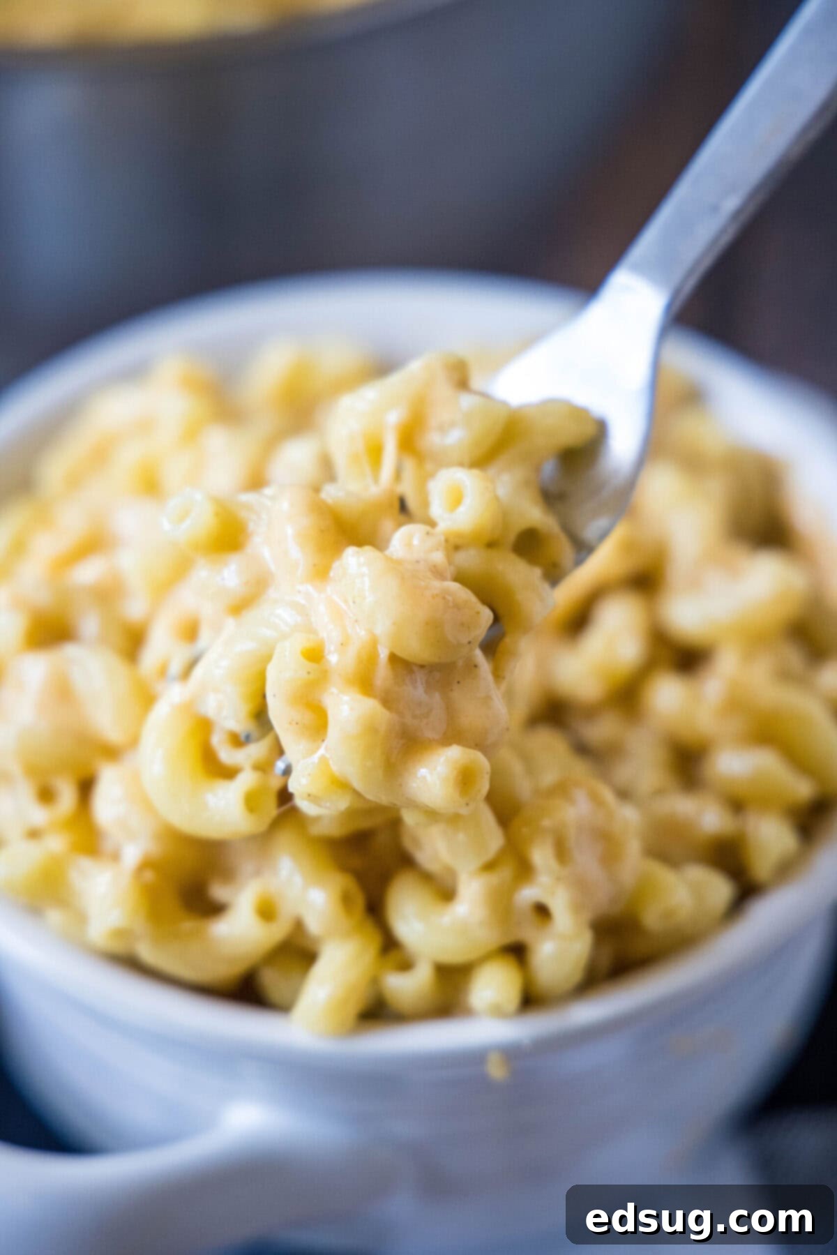 This easy and healthy stovetop mac and cheese is loaded with protein-rich Greek yogurt, gooey melted cheese, and spicy seasonings, offering a guilt-free comfort meal. A fork lifting a bite of healthy mac and cheese out of a bowl, showcasing its creamy texture and melted cheese.
