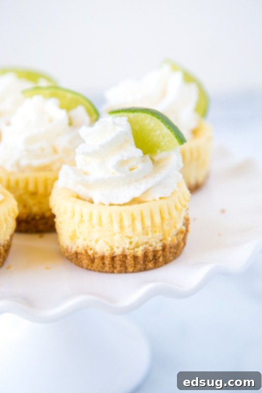 Zesty Key Lime Bites 2 A piece of cake on a plate, with Cheesecake and Lime