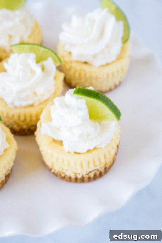 Zesty Key Lime Bites 4 Key Lime cheesecakes topped with whipped cream and lime slices