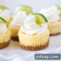 Zesty Key Lime Bites 5 A close up of cheesecake on a plate, with Cheesecake and Lime