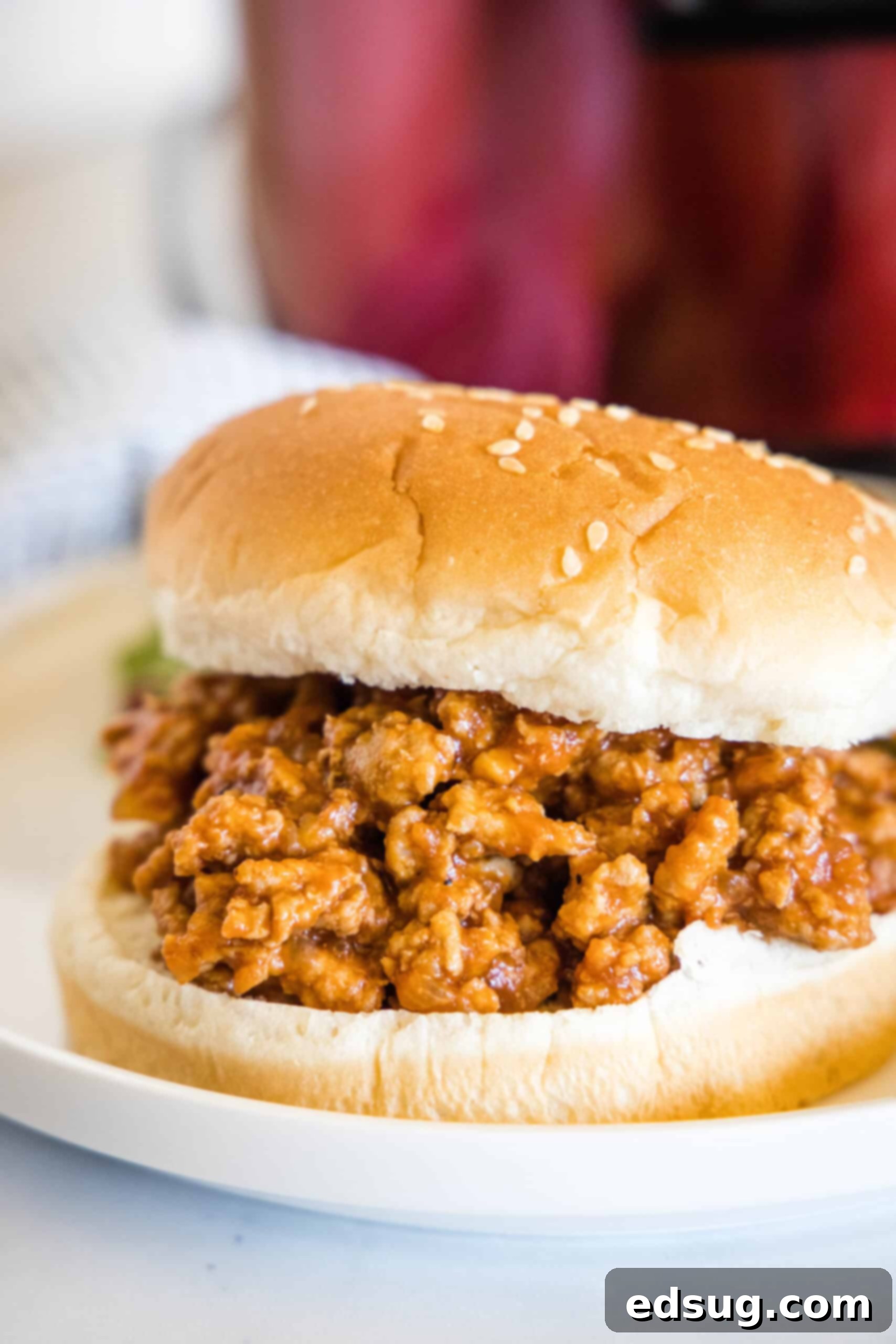 Easy ground turkey Sloppy Joes made with juicy turkey instead of ground beef, cooked in one pan with a rich, flavor-packed homemade sauce! Close up of a turkey sloppy joes sandwich on a plate, ready to be eaten.