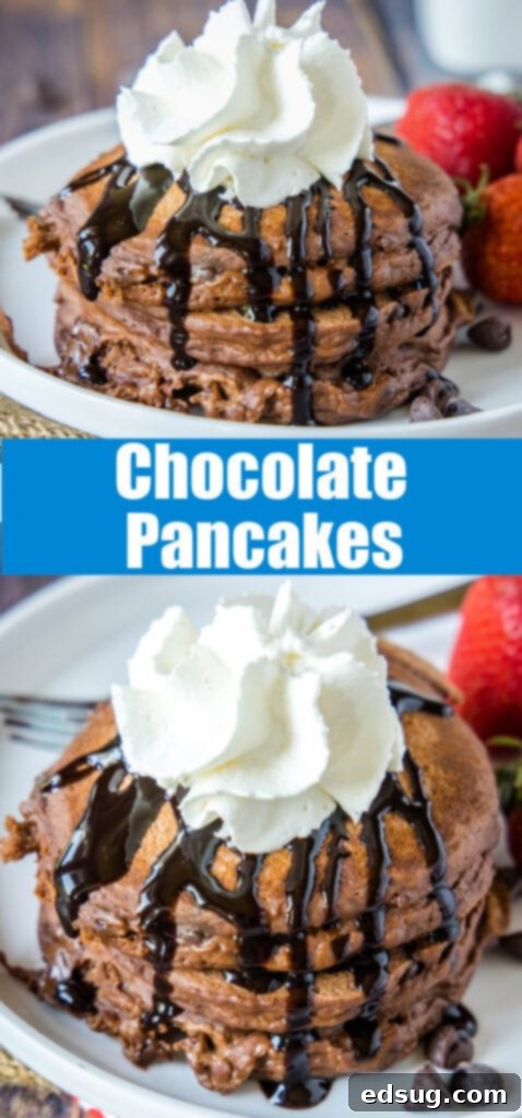 Irresistible Chocolate Pancakes 8 close up plate of stacked chocolate pancakes