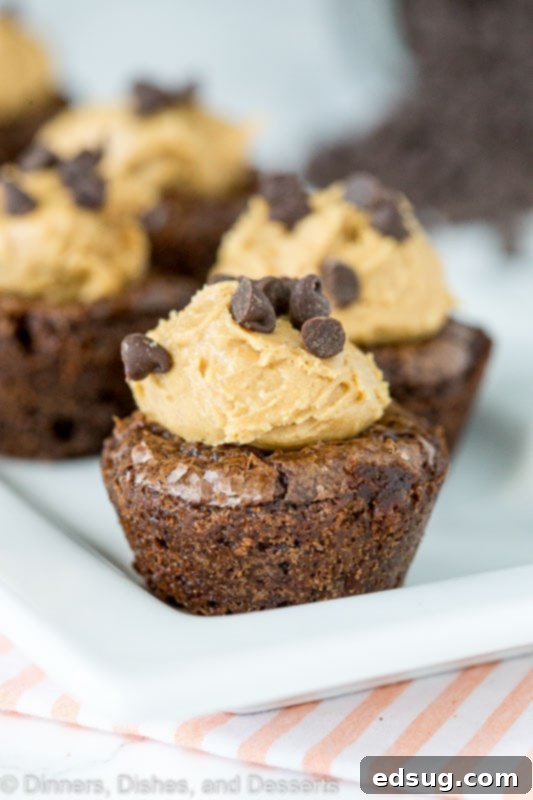 A close up of fudgy brownie bites topped with creamy peanut butter and scattered mini chocolate chips, on a white plate