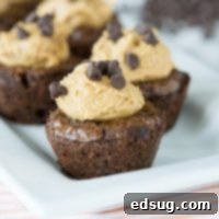 A close up of brownies topped with peanut butter and chocolate chips