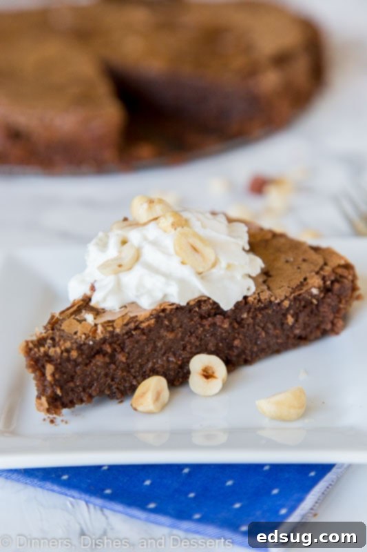 Decadent Chocolate Hazelnut Dream 2 A piece of cake on a plate, with Hazelnut and Chocolate