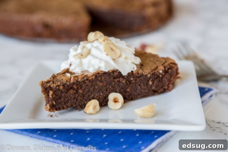 Decadent Chocolate Hazelnut Dream 3 A piece of chocolate cake on a plate, with Hazelnut and Tart