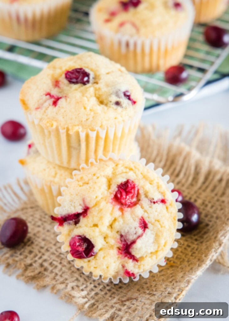 Zesty Cranberry Orange Delights 5 cranberry orange muffins stacked on a table
