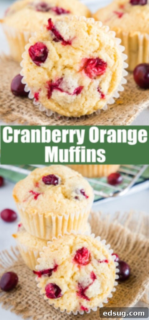 Zesty Cranberry Orange Delights 6 close up cranberry orange muffins