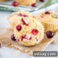 Zesty Cranberry Orange Delights 7 cropped in close up of cranberry orange muffins on a table