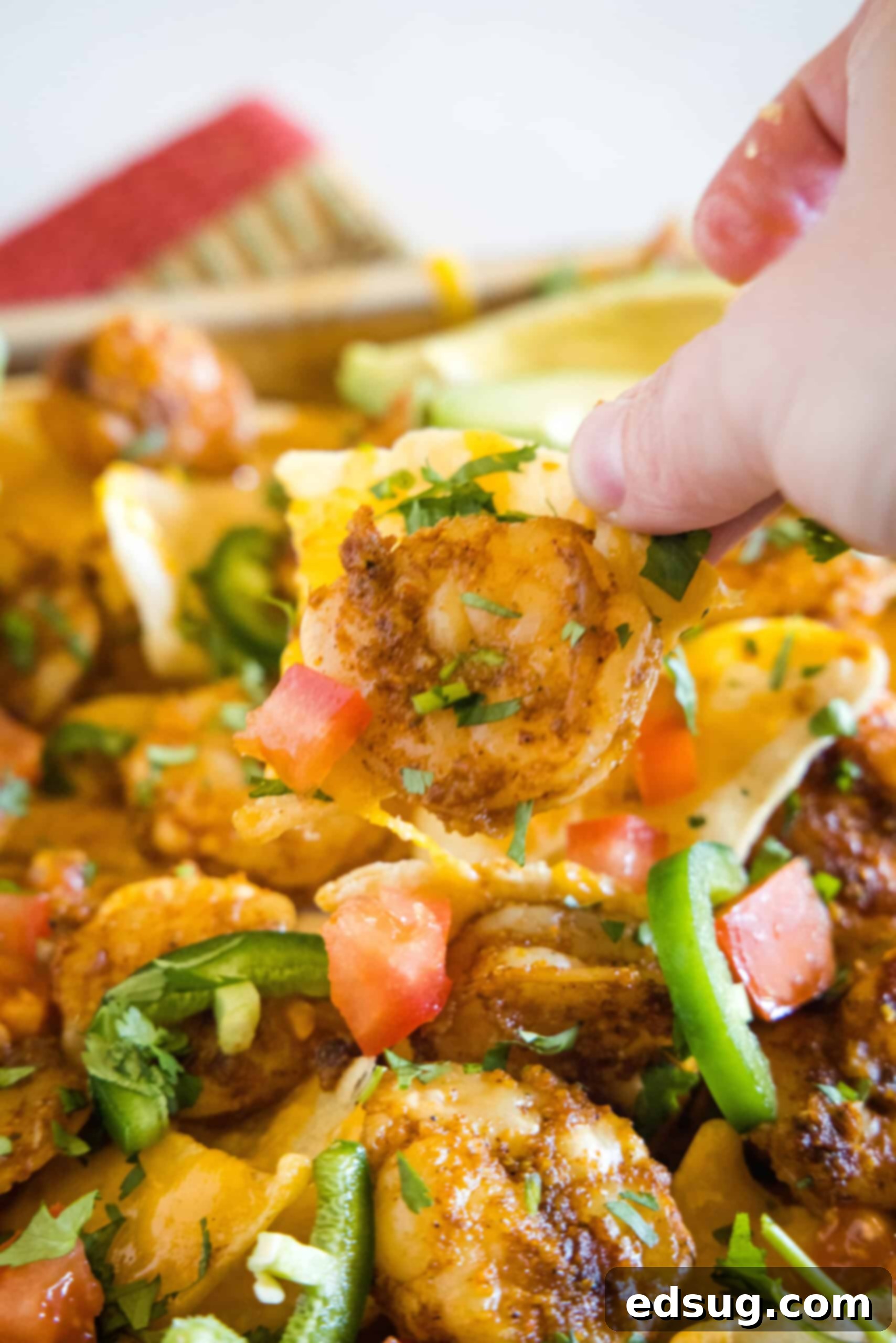 Upgrade classic nachos with zesty seasoned shrimp! These shrimp nachos are an easy Tex-Mex appetizer packed with flavor, ready in 15 minutes. A hand lifting a nacho chip from a pan of shrimp nachos.