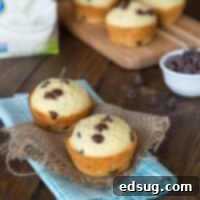 Coconut Chocolate Chip Muffins - freeze well, and make great breakfasts or snacks
