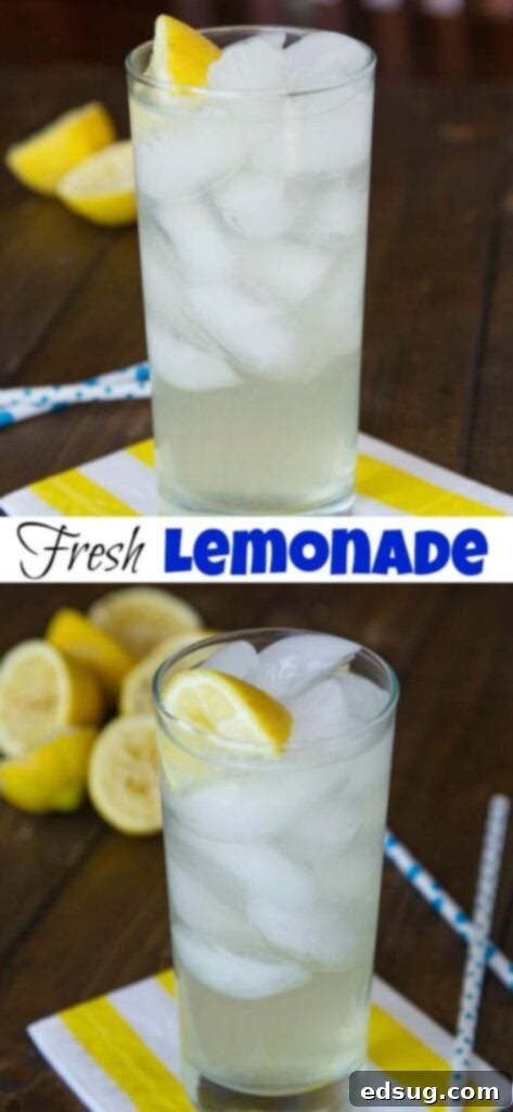 Hand-Pressed Citrus Bliss 2 Homemade Lemonade - Nothing beats fresh squeezed lemonade on a hot summer day. Fresh lemons are so much better than any powder or mix there is!