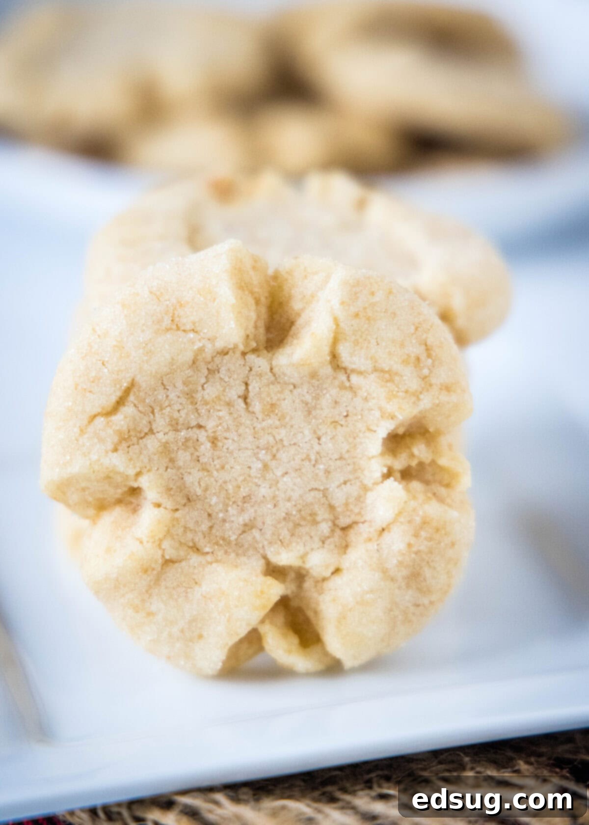 A single Angel Crisp cookie standing upright on a white plate, showcasing its golden edges and characteristic cracks, ready to be enjoyed.