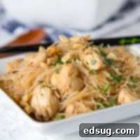 Spicy Asian Noodles with Chicken - a quick and easy Asian Noodle stir fry made with pantry ingredients you can have on the table in minutes!