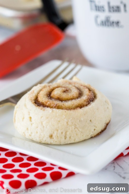Elephant Ears - a cinnamon and sugar filled pastry. Kind of like a cinnamon roll, but ready in 20 minutes. Perfect for a treat or for a nice breakfast. elephant ears on white plate