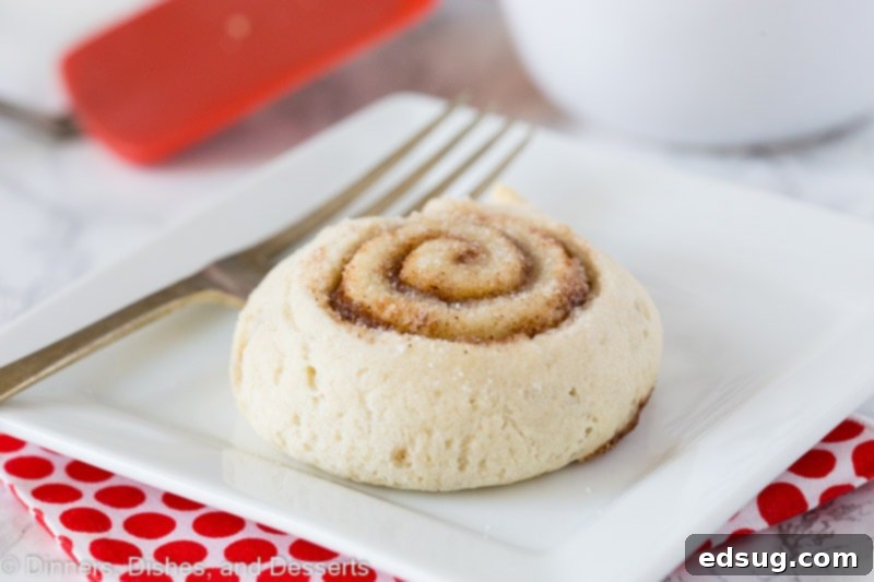 Elephant Ears - a cinnamon and sugar filled pastry. Kind of like a cinnamon roll, but ready in 20 minutes. Perfect for a treat or for a nice breakfast. elephant ears horizontal on plate