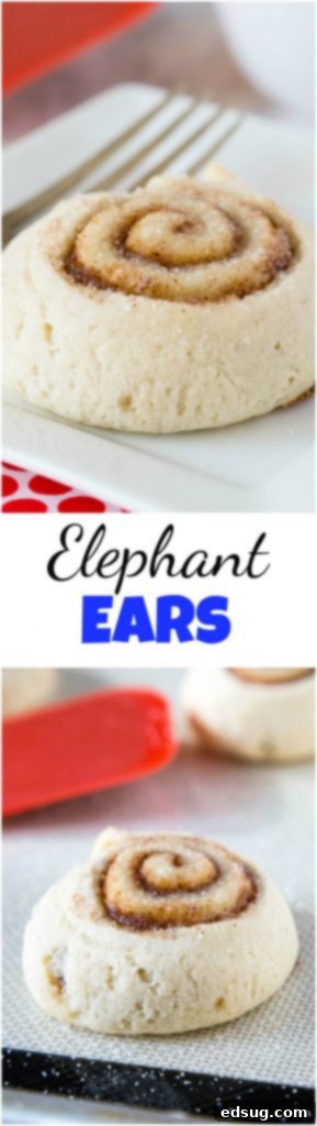 Elephant Ears - a cinnamon and sugar filled pastry. Kind of like a cinnamon roll, but ready in 20 minutes. Perfect for a treat or for a nice breakfast. elephant ears collage