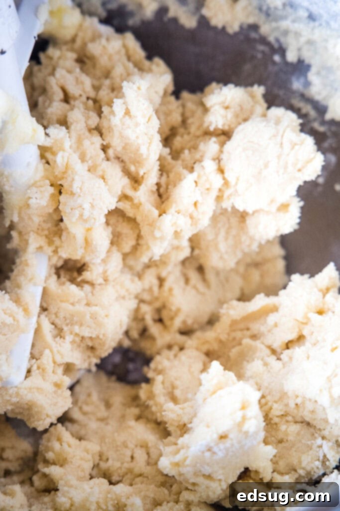 The Quintessential Sugar Cookie 4 Sugar cookie dough in a large mixing bowl, perfectly prepared before rolling and baking.