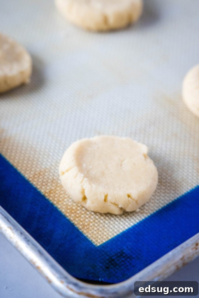The Quintessential Sugar Cookie 5 Unbaked sugar cookie dough balls, gently pressed down, arranged on a baking sheet ready for the oven.