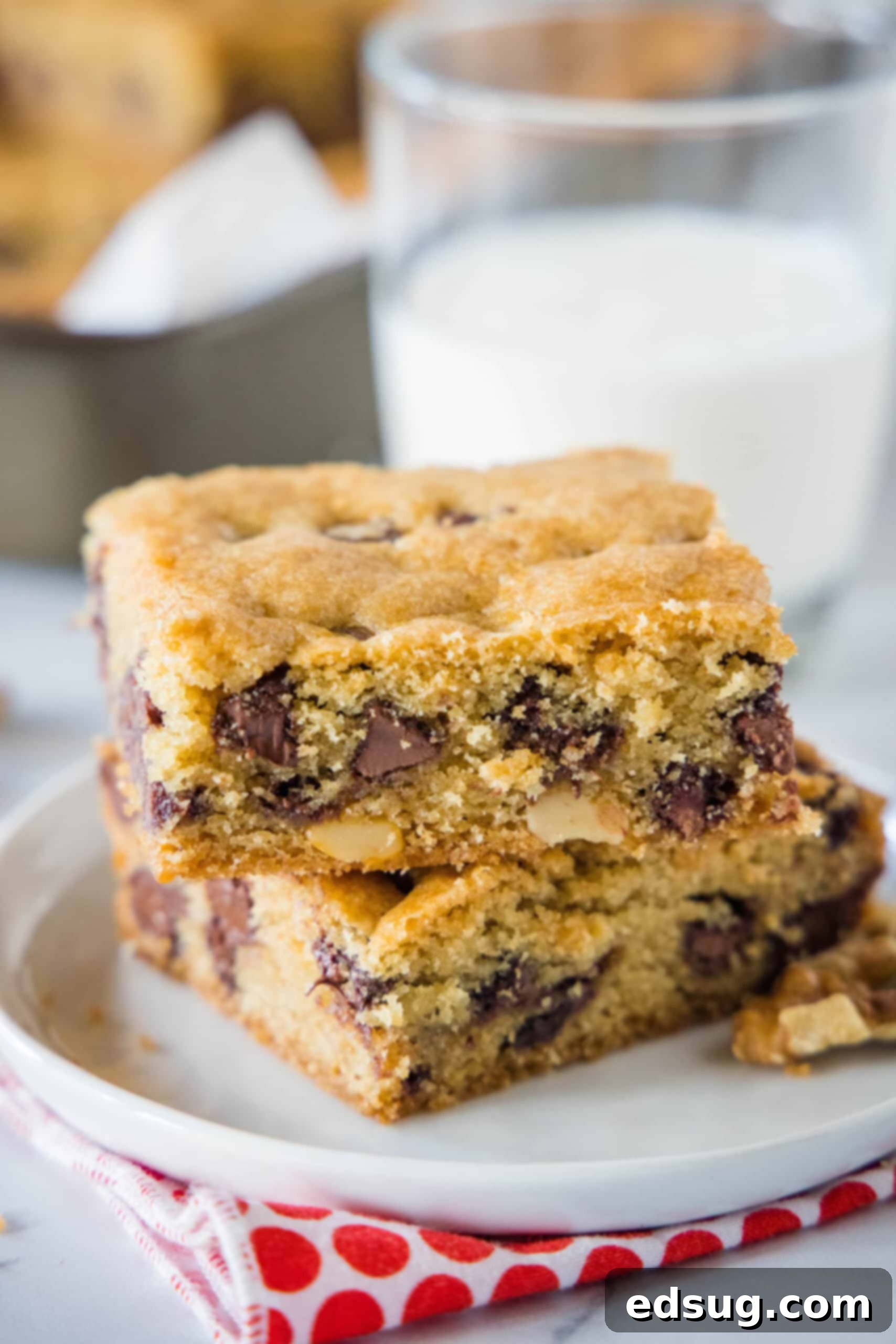 Congo bars are thick and gooey cookie bars loaded with two types of chocolate and crunchy walnuts. Make them in one bowl in minutes! Two Congo bars stacked on a white plate, showcasing their thick, chewy texture and abundant chocolate chips.