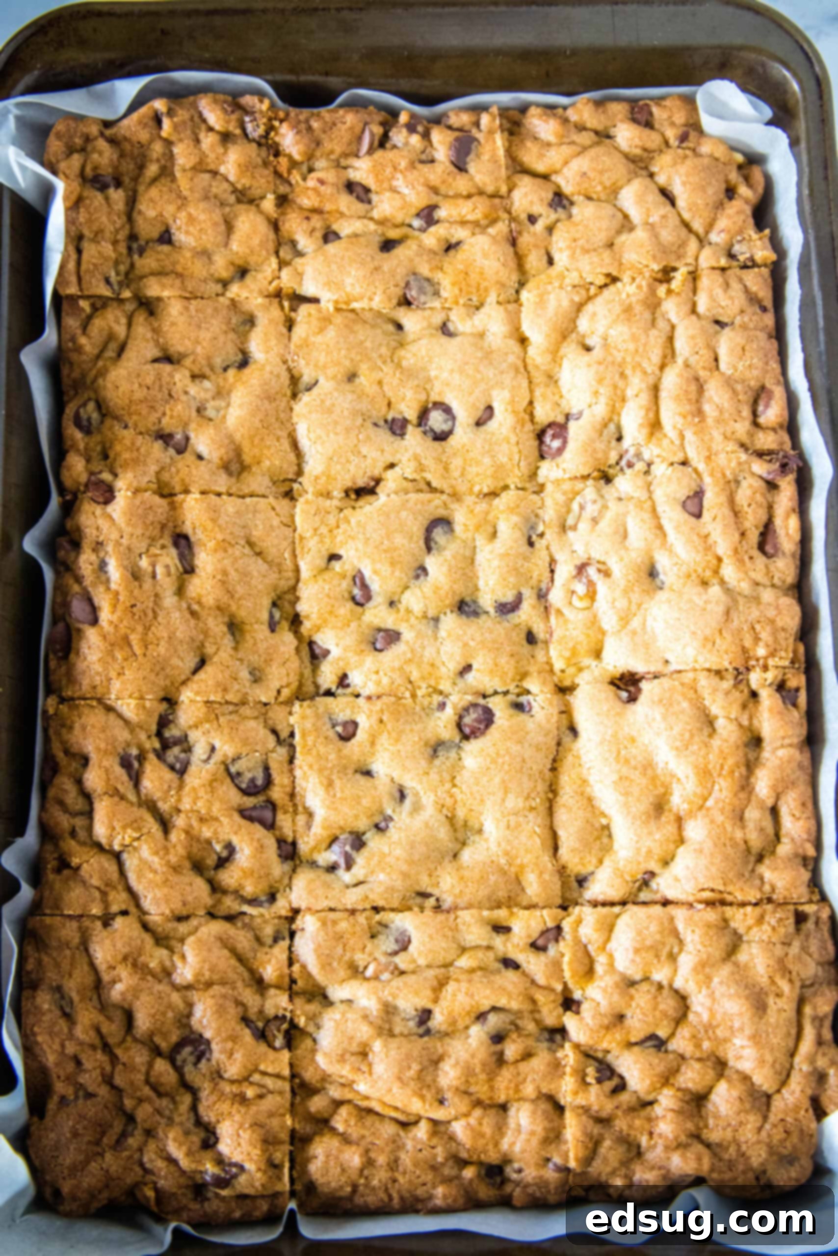 Congo bars are thick and gooey cookie bars loaded with two types of chocolate and crunchy walnuts. Make them in one bowl in minutes! An overhead view of warm Congo bars, perfectly cut into squares, cooling in a baking pan.