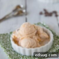 Chocolate Chip Caramel Swirl Ice Cream - a hint of chocolate with swirls of caramel and chocolate chips