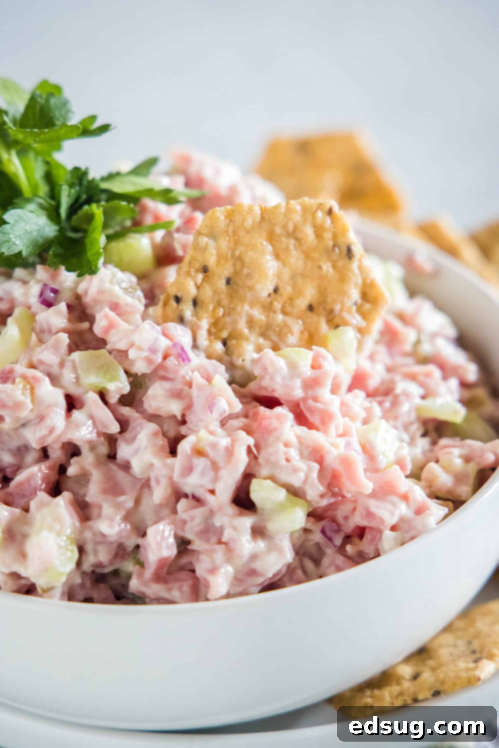 This ham salad recipe is the best way to use up leftover ham! It's similar to a chicken salad, with mayo, red onions, and juicy shredded ham. Close up of a cracker dipped into a bowl of ham salad.