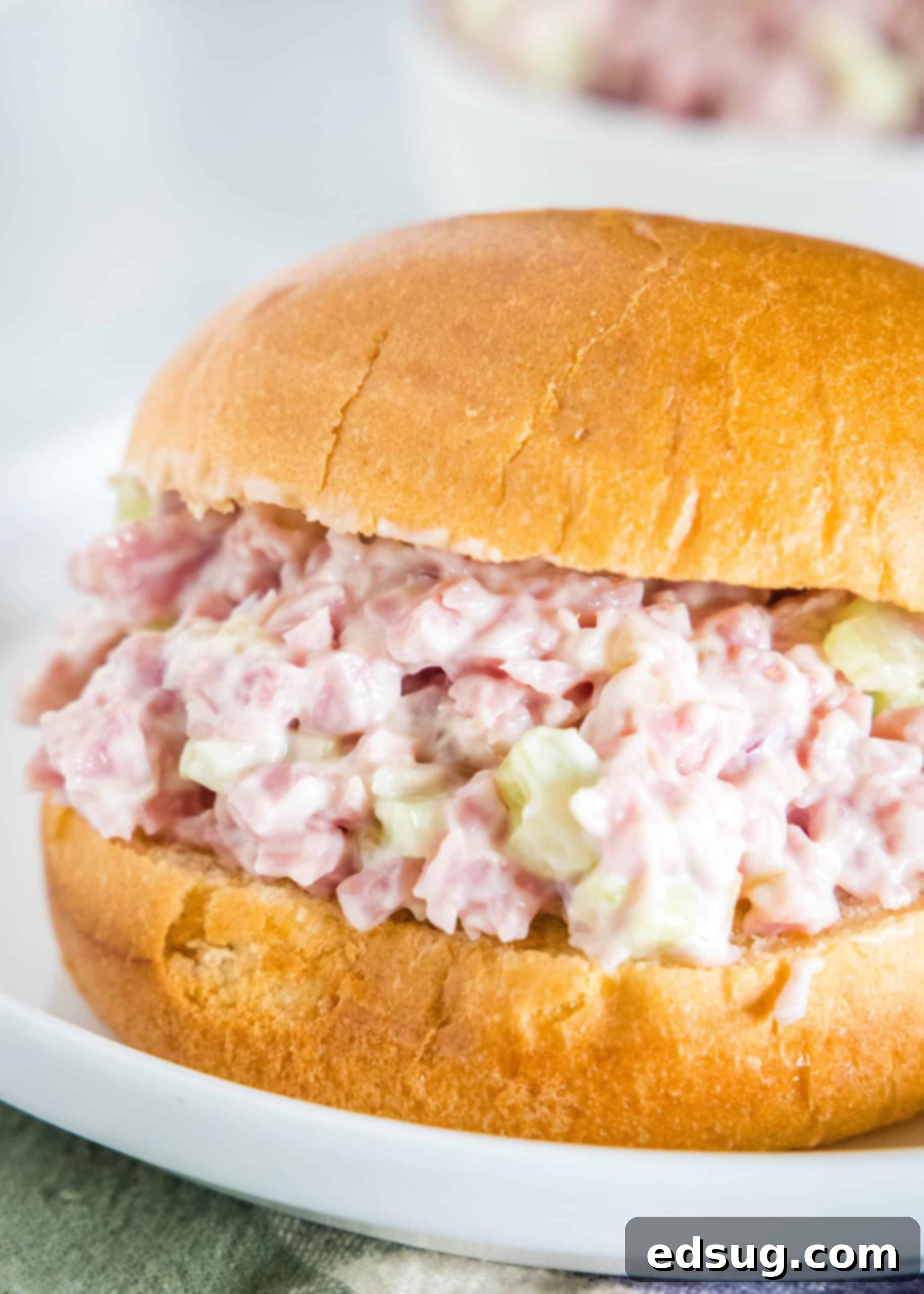 This ham salad recipe is the best way to use up leftover ham! It's similar to a chicken salad, with mayo, red onions, and juicy shredded ham. A ham salad sandwich in a bun on a white plate.