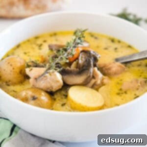 A white bowl filled with creamy chicken stew, garnished with fresh parsley and a spoon.