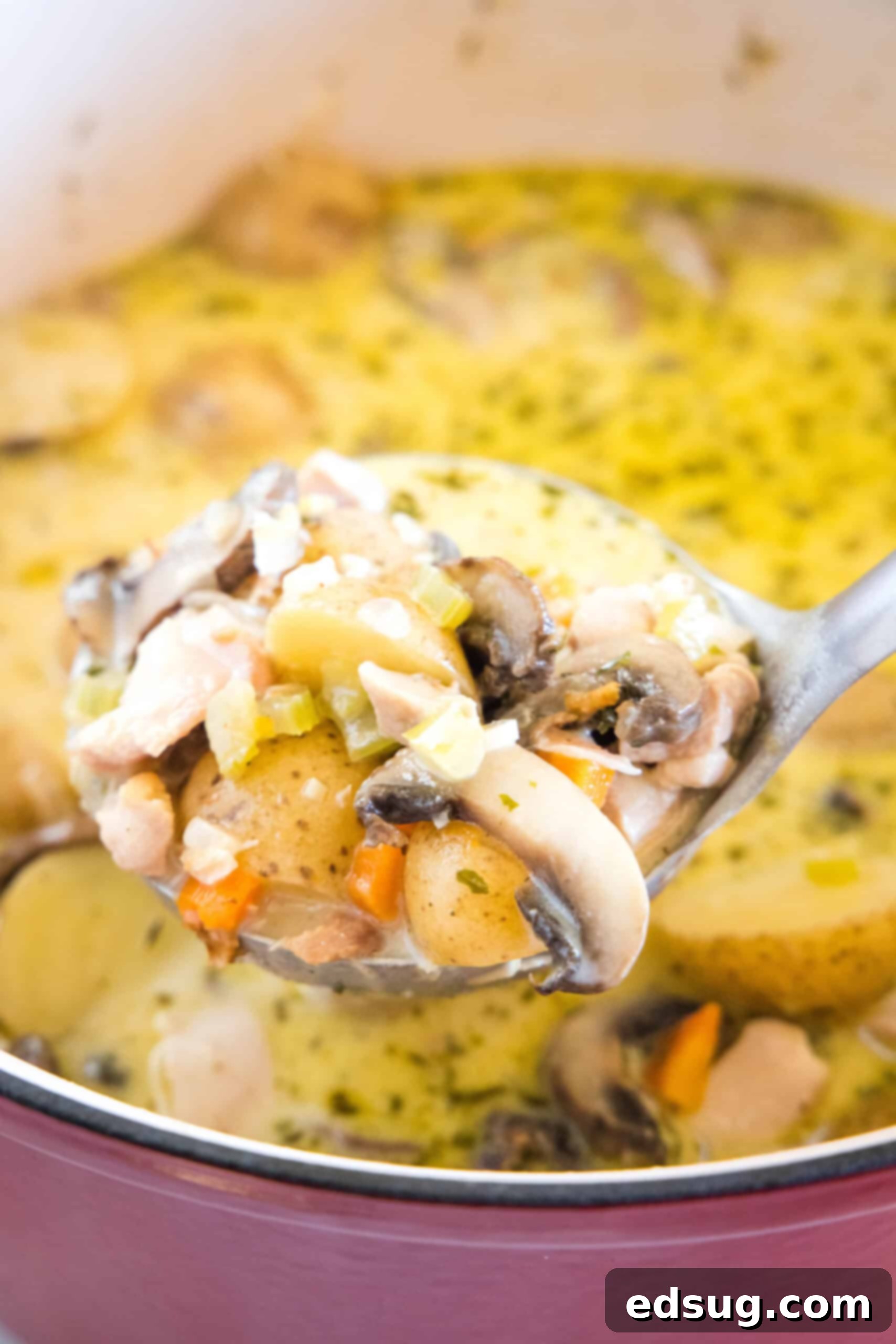 A ladle lifts a spoonful of rich chicken stew from a large pot.