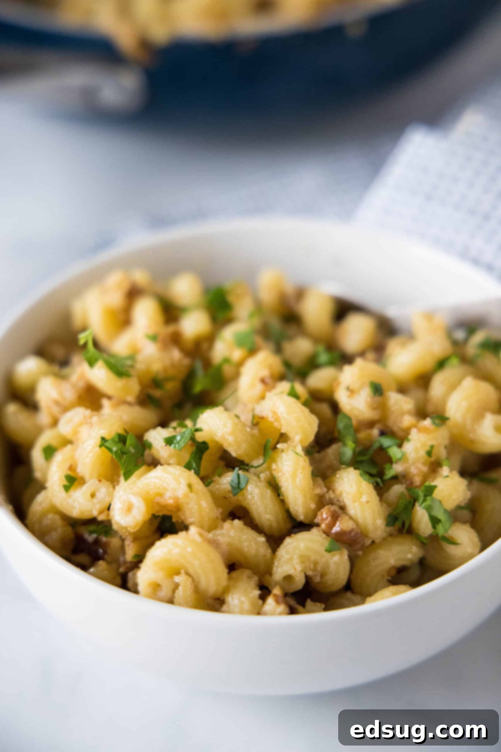 This toasted walnut pasta is an easy, flavorful, and filling 15-minute pasta recipe with crunchy walnuts, breadcrumbs, garlic, and chili. Toasted walnut pasta in a white bowl, garnished with fresh parsley.