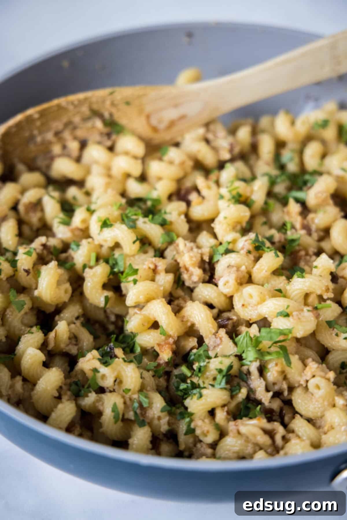 This toasted walnut pasta is an easy, flavorful, and filling 15-minute pasta recipe with crunchy walnuts, breadcrumbs, garlic, and chili. Toasted walnut pasta tossed in a skillet, ready to be served.