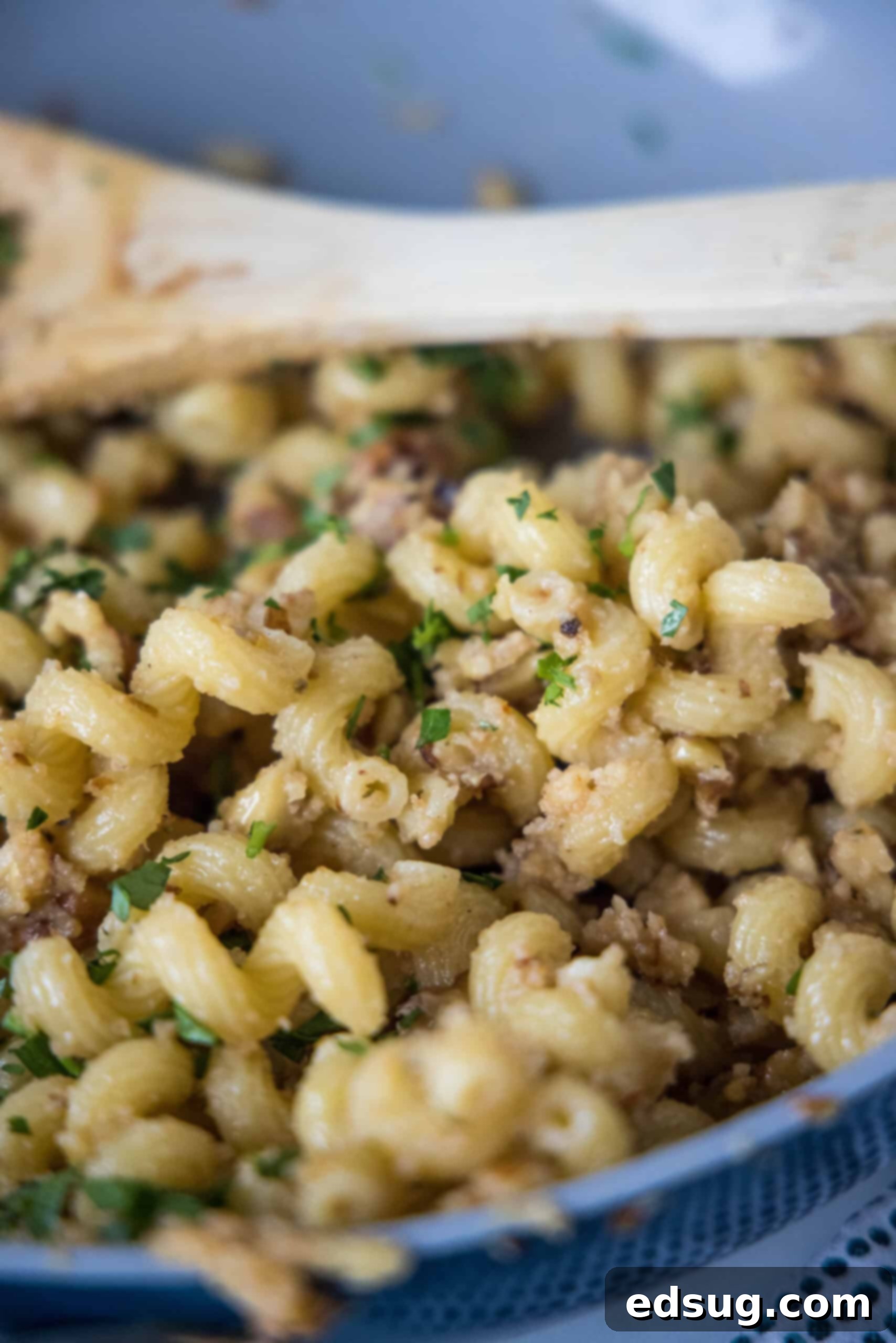 This toasted walnut pasta is an easy, flavorful, and filling 15-minute pasta recipe with crunchy walnuts, breadcrumbs, garlic, and chili. A serving of toasted walnut pasta in a white bowl, ready to be enjoyed.