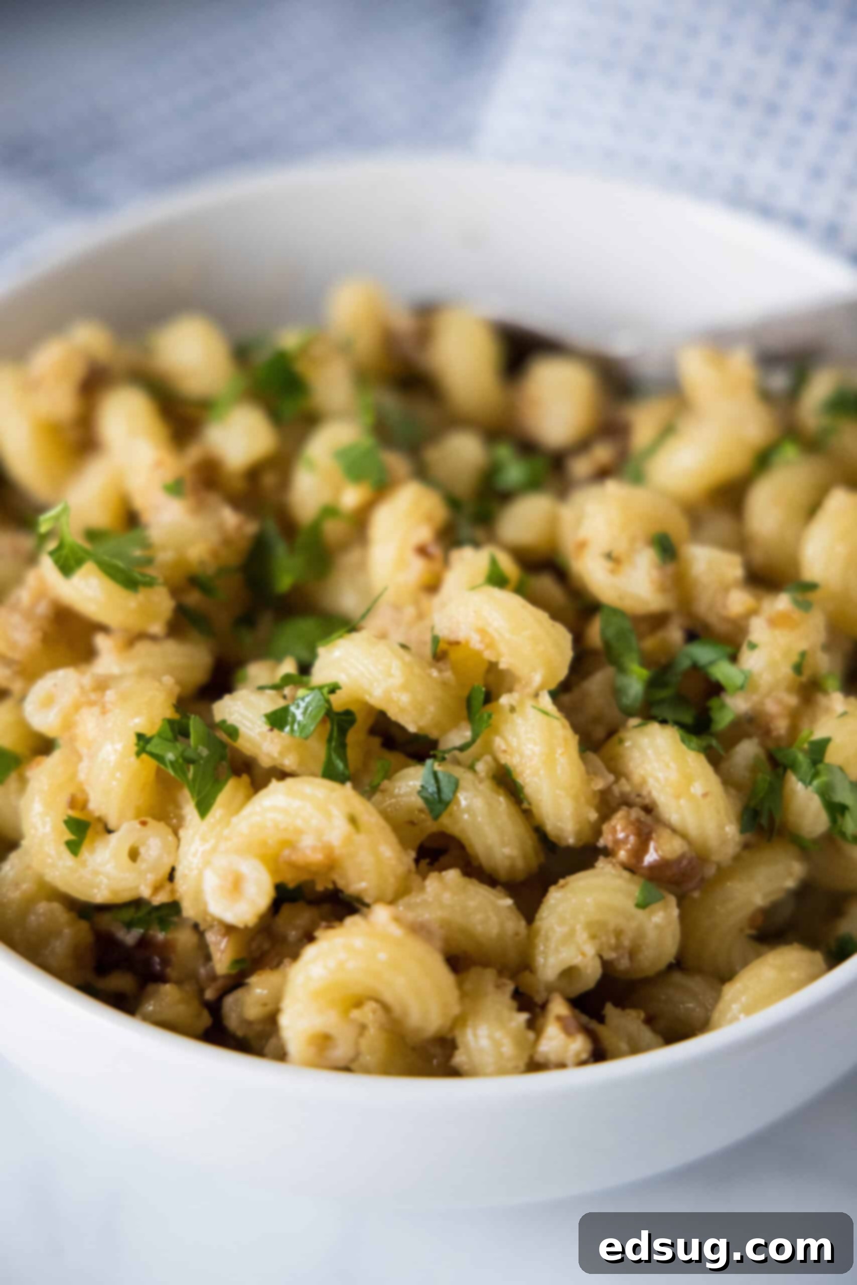 This toasted walnut pasta is an easy, flavorful, and filling 15-minute pasta recipe with crunchy walnuts, breadcrumbs, garlic, and chili. Toasted walnut pasta in a white bowl, garnished with fresh parsley and Parmesan cheese.