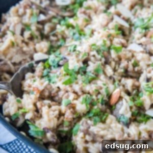 cropped close up sausage and rice in a skillet