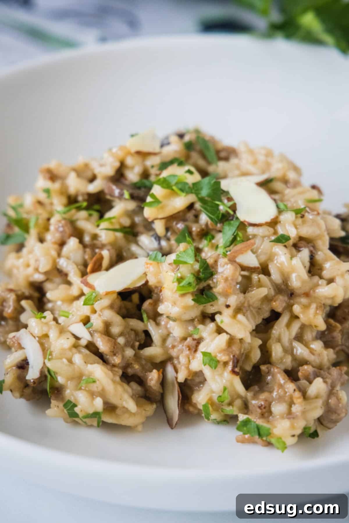 Sausage and Rice Bake 9 A serving of sausage and rice casserole in a white bowl.