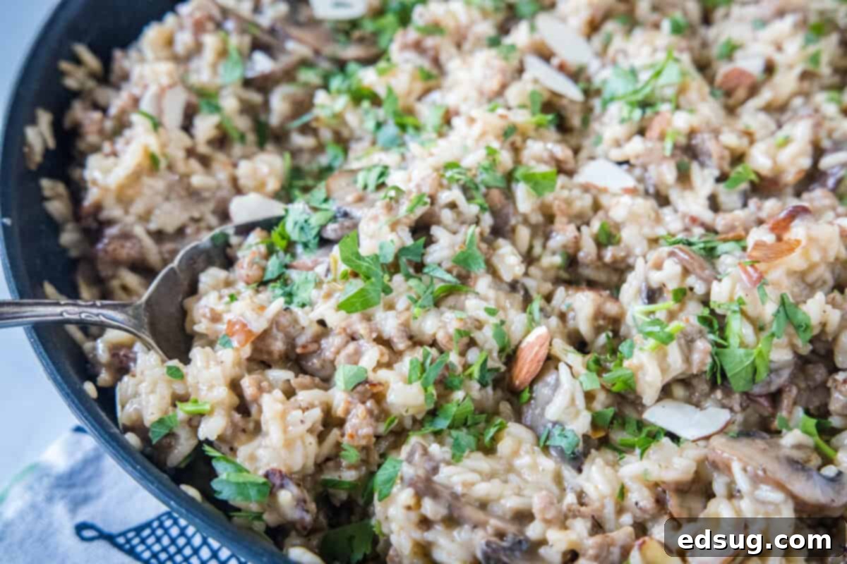 Sausage and Rice Bake 10 Another appealing angle of the sausage and rice casserole in the cooking skillet.