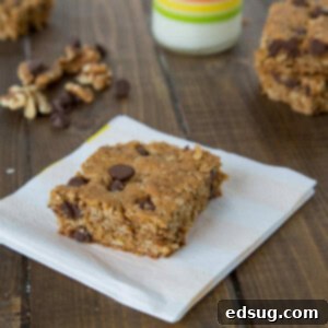 Wholesome Walnut Chocolate Chip Protein Bars 1 Walnut Chocolate Chip Protein Bars {Dinners, Dishes, and Desserts}